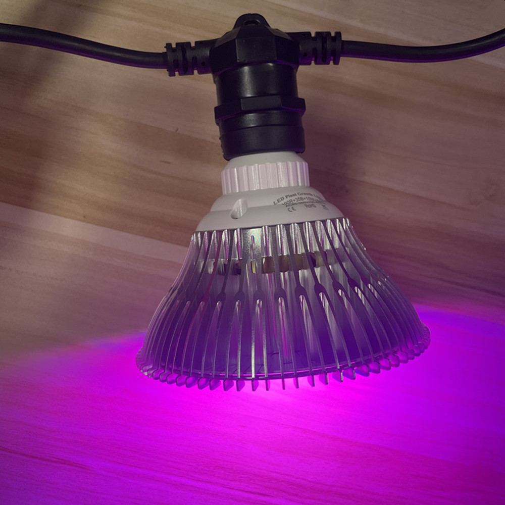 สายไฟ LED ยาว 10 เมตร เกรดเชิง - Outdoor Lighting Construction บทวิจารณ์และราคา