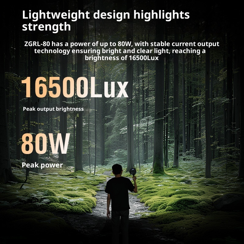 ไฟวิดีโอ LED COB ZGRL80 80W แบ - Outdoor Lighting For Photography บทวิจารณ์และราคา